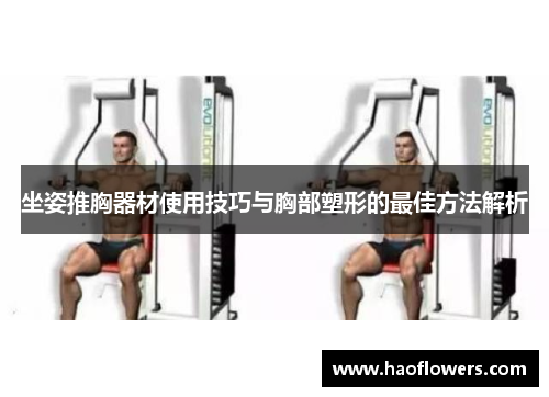 坐姿推胸器材使用技巧与胸部塑形的最佳方法解析