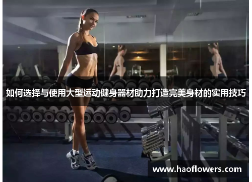 如何选择与使用大型运动健身器材助力打造完美身材的实用技巧